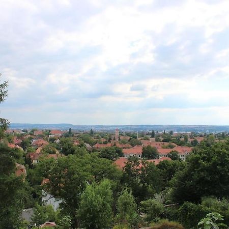 Blick Ueber Dresden - Terrasse - 3 Zimmer - Modern Renoviert Екстер'єр фото